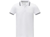 Рубашка поло Amarago мужская (белый) 3XL (Изображение 2)