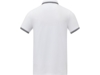 Рубашка поло Amarago мужская (белый) 3XL (Изображение 3)