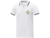 Рубашка поло Amarago мужская (белый) 3XL (Изображение 4)