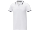 Рубашка поло Amarago мужская (белый) M