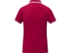 Рубашка поло Amarago женская (красный) L (Изображение 3)