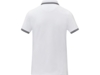 Рубашка поло Amarago женская (белый) 2XL (Изображение 3)