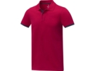 Рубашка поло Morgan мужская (красный) XL