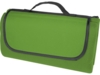 Плед для пикника Salvie из переработанного PET-пластика (зеленый)  (Изображение 1)