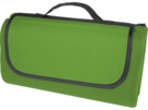 Плед для пикника Salvie из переработанного PET-пластика (зеленый) 