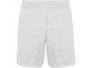 Спортивные шорты Andy мужские (белый) XL (Изображение 1)
