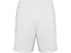 Спортивные шорты Andy мужские (белый) XL (Изображение 2)