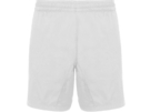 Спортивные шорты Andy мужские (белый) XL