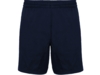 Спортивные шорты Andy мужские (navy) XL (Изображение 1)
