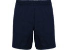 Спортивные шорты Andy мужские (navy) XL