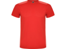 Спортивная футболка Detroit мужская (красный) 2XL