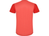 Спортивная футболка Detroit мужская (красный) XL (Изображение 2)