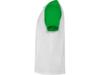 Спортивная футболка Indianapolis мужская (зеленый/белый) 3XL (Изображение 3)