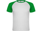 Спортивная футболка Indianapolis мужская (зеленый/белый) M