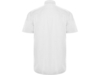 Рубашка Aifos мужская с коротким рукавом (белый) 3XL (Изображение 2)