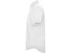 Рубашка Aifos мужская с коротким рукавом (белый) 3XL (Изображение 3)