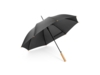 Зонт-трость APOLO (черный)  (Изображение 1)