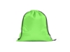 Сумка-рюкзак PEMBA (светло-зеленый)  (Изображение 1)