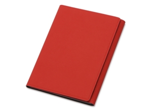 Обложка на магнитах для автодокументов и паспорта Favor (серый/красный) 