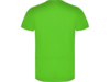 Футболка Akita мужская (неоновый зеленый) 2XL (Изображение 2)