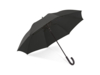 Зонт с автоматическим открытием ALBERT (черный)  (Изображение 1)