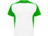 Спортивная футболка Bugatti мужская (зеленый/белый) M