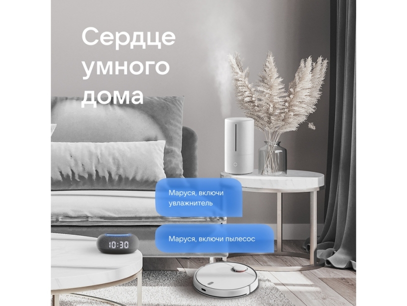 Умная колонка Капсула Мини с голосовым помощником Марусей (темно-серый)  (Изображение 11)