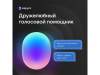 Умная колонка Капсула с голосовым помощником Марусей (черный)  (Изображение 5)