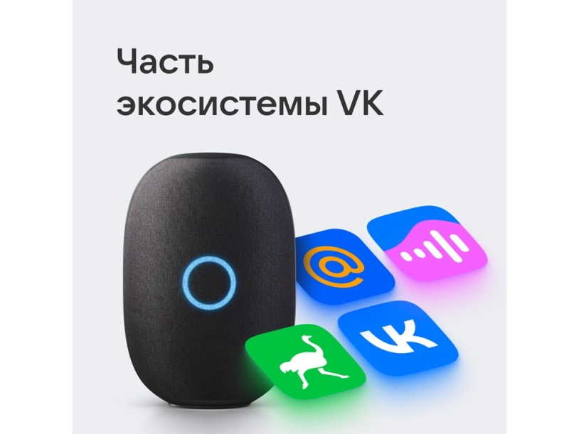 Умная колонка Капсула с голосовым помощником Марусей (черный)  (Изображение 6)