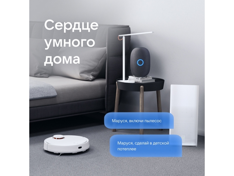 Умная колонка Капсула с голосовым помощником Марусей (черный)  (Изображение 10)