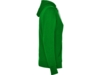 Толстовка с капюшоном Urban женская (зеленый/белый) 2XL (Изображение 4)
