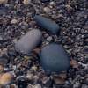 Внешний аккумулятор Pebble 7800 мАч, серо-синий (Изображение 5)