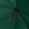 Зонт-трость Dublin , зеленый (Изображение 5)