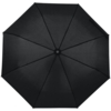 Зонт складной Monsoon, черный (Изображение 1)