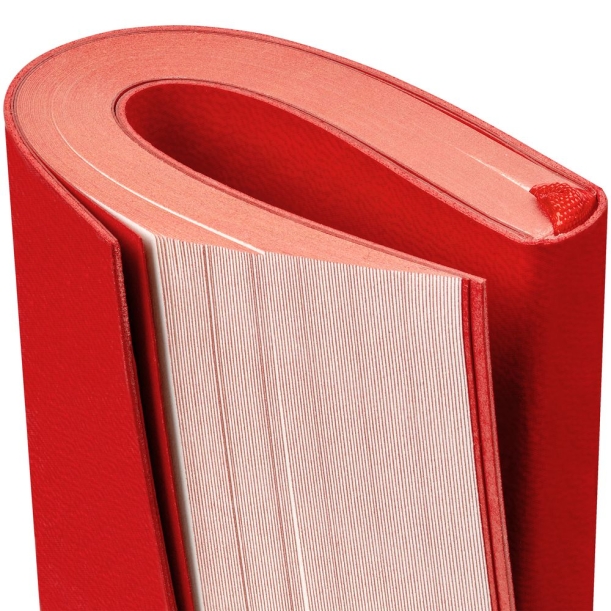 Ежедневник Flat Mini, недатированный, красный (Изображение 6)