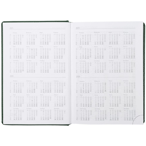 Ежедневник Sagrin, недатированный, зеленый (Изображение 4)