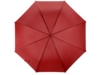 Зонт-трость Яркость (Изображение 7)