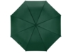 Зонт-трость Яркость (Изображение 8)