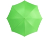Зонт-трость Lisa (зеленое яблоко)  (Изображение 2)
