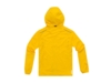 Куртка Flint мужская (желтый) XL (Изображение 6)