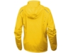 Куртка Flint мужская (желтый) S (Изображение 2)