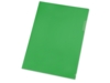 Папка- уголок А4, матовая (зеленый матовый)  (Изображение 1)