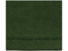 Футболка Nanaimo мужская (зеленый армейский ) XL (Изображение 5)