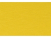 Футболка Nanaimo мужская (желтый) M (Изображение 4)