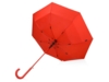 Зонт-трость Color (красный)  (Изображение 3)