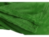 Плед мягкий флисовый Fancy (зеленый)  (Изображение 3)