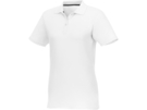 Рубашка поло Helios женская (белый) 3XL