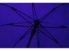 Зонт-трость полуавтомат Wetty с проявляющимся рисунком (синий)  (Изображение 11)