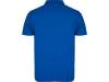 Рубашка поло Austral мужская (синий) 2XL (Изображение 2)