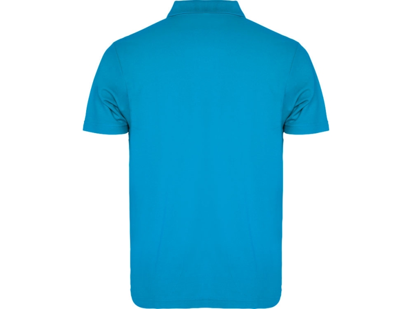 Рубашка поло Austral мужская (бирюзовый) 3XL (Изображение 2)